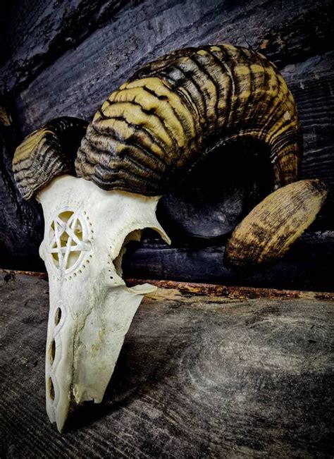 Made To Order Real Ram Skull Engraved Pentacle Pentagram Evil Etsy