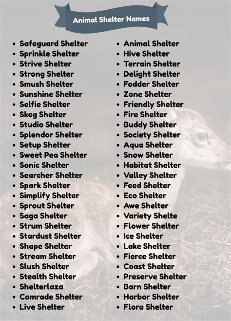 Animal Company Name Generator - ANIMALQU