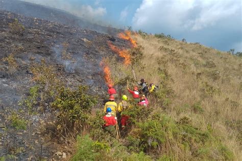 Incendios Forestales Ocurrieron 1078 En Perú De Enero A Julio De Este