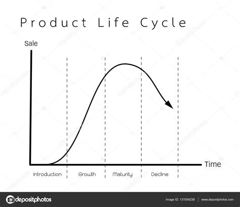 รายการ 91 ภาพพื้นหลัง วงจรชีวิตผลิตภัณฑ์ Product Life Cycle ครบถ้วน