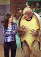 The One with the Holiday Armadillo (2000)