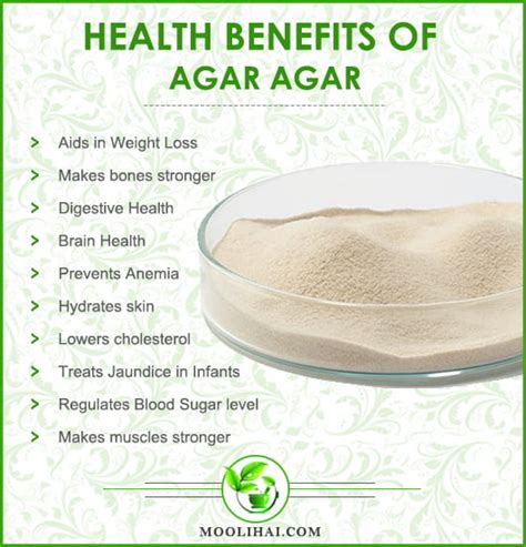 Agar Agar Overview Uses Side Effects And Precautions Moolihai