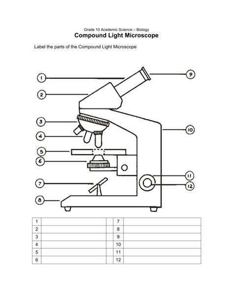 Labeling Compound Light Microscope Worksheet Shelly Lighting