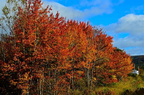 Magnificent Fall Colors In Cape Breton Photography Imaging