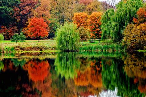 Autumn Reflections Fall Autumn Calmness Colors Bonito Park Lake
