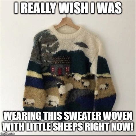 Anyone Know Where I Can Find The Sweater On This Meme Thanks R