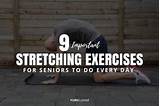 Stretching Exercises For Seniors Videos