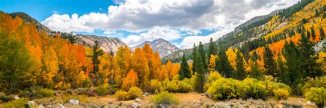 South Fork Bishop Creek High Sierras Autumn Aspens Leaves Flickr