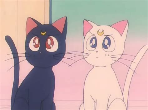 Luna And Artemis Cute Anime Cat Sailor Moon Wallpaper Sailor Moon Cat