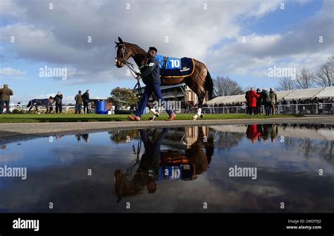 Horses In The Parade Ring Before The Hazelton Mountford Insurance