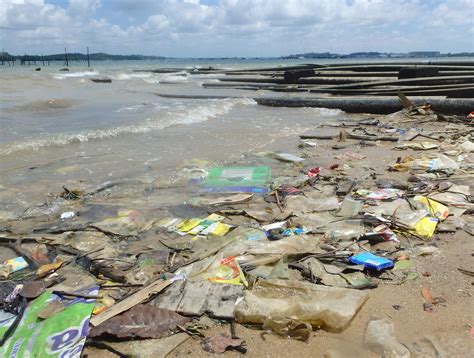 Polluted Tourism - The State Of Our Seas - Greenism