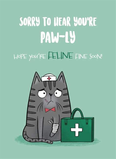 Paw Ly Cat Get Well Soon Card By Hannah Jayne Lewin Illustration Cardly