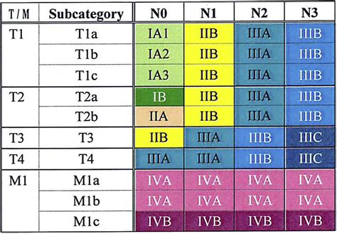 The Eighth Edition Tnm Stage Classification For Lung Cancer What Does