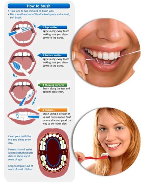 How To Brush Your Teeth Dental Dental Care Dental Health