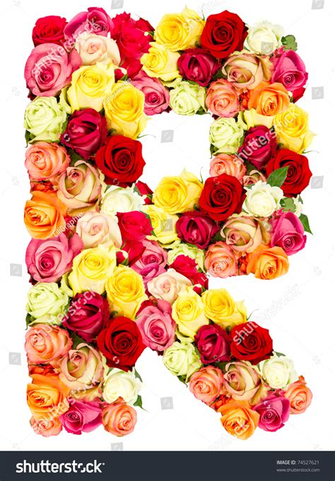 R Roses Flower Alphabet Isolated On Stock Photo 74527621 Shutterstock