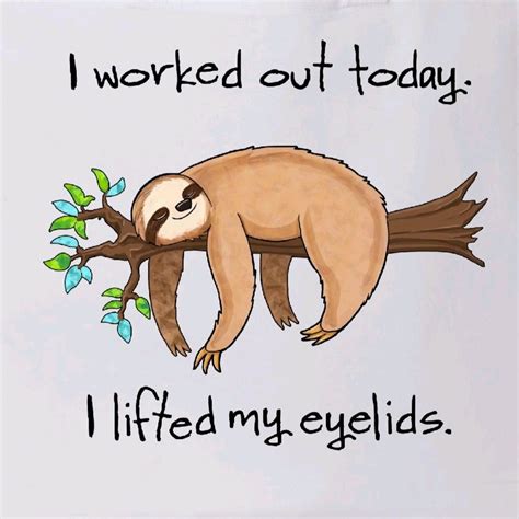 Pin By Cyndy Chase Bakke On Quotes And Captions Sloth Quote Cute
