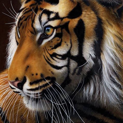 Pin By Tonya Wargo On Cats Sumatran Tiger Animals Beautiful Tiger