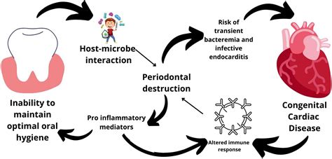 Frontiers Congenital Heart Diseases And Periodontal DiseasesIs There A Link