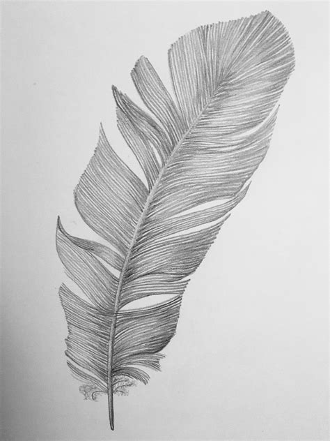 Feather Pencil Drawing By Me Feather Drawing Feather Art Texture