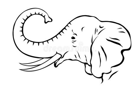 African Elephant With Tusks Black And White Sketch Stock Vector