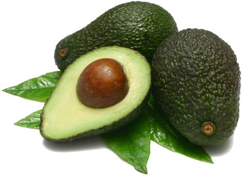 Collection Of Avocado PNG PlusPNG