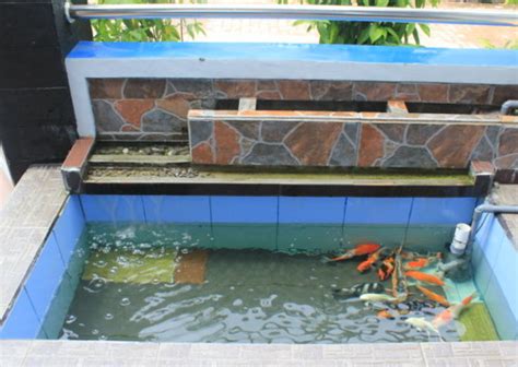 Pasti akan lebih menyenangkan jika setiap harinya anda bisa memandang ikan kesayangan di dalam sebuah kolam cantik. 30 Desain Kolam Ikan Minimalis Kecil di Halaman Rumah