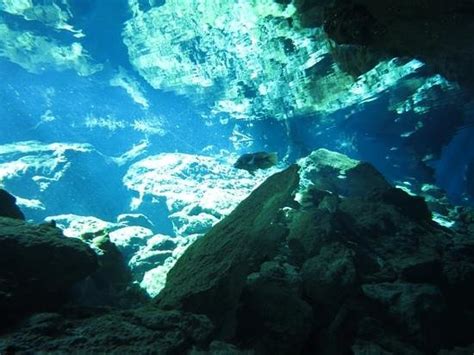 Dreamgate Cenote Picture Of Dive Mexico Caves Tulum Tripadvisor