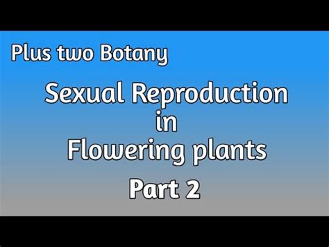 Plus Two Botany Chapter Wise Previous Questions Chapter Sexual My Xxx