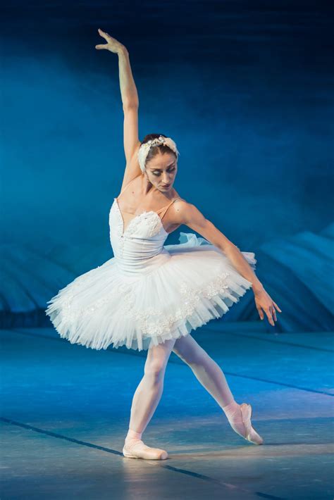 Fotos Gratis Baile Equilibrar Bailarina Ballet Bailar N Arte De