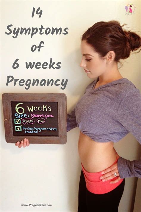5 Weeks Pregnant Belly Artofit