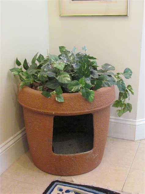 Litter Box Planter Apparently Once Sold On Skymall Diy Litter Box