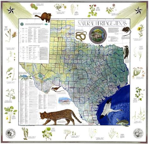 My Favorite Map The Natural Heritage Map Of Texas 1986 Texas Land
