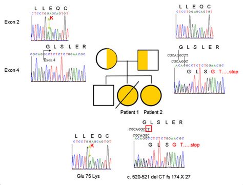 Sanger Sequencing Showed The Heterozygous Compound Tetratricopeptide Download Scientific