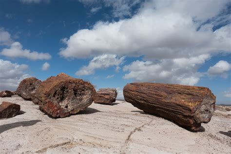 Petrified Forest National Park And The Painted Desert Arizona The