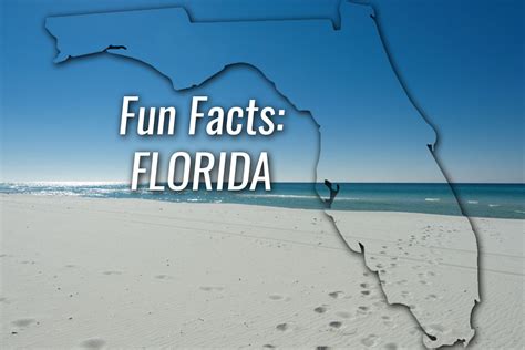 Fun Facts About Florida Gulf Crest Coa