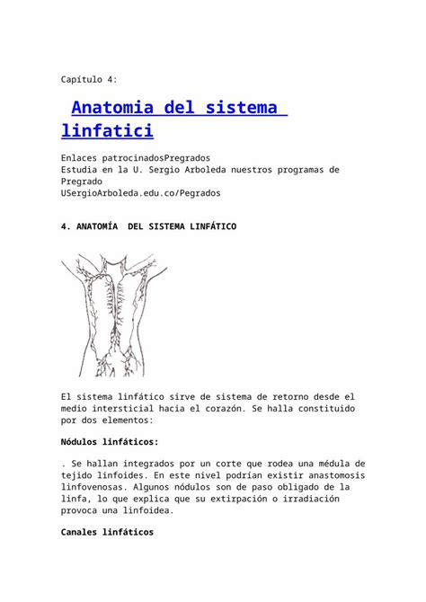 DOCX Anatomia Del Sistema Linfatico DOKUMEN TIPS