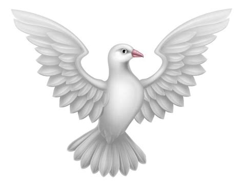 White Dove Holy Spirit Silhouette Illustrations Royalty