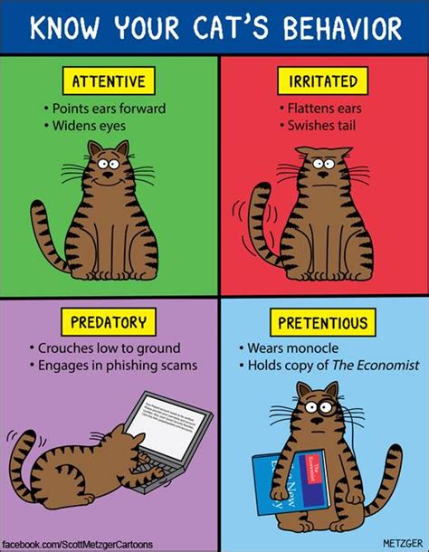 Mystery Fanfare Cartoon Of The Day Cat Behavior