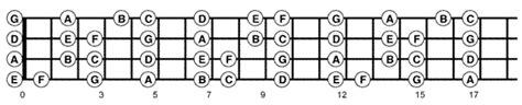 4 String Bass Fretboard Diagram Sexiz Pix