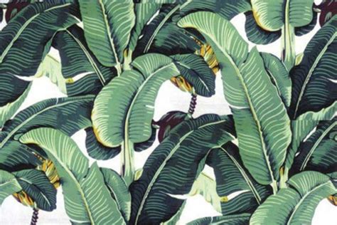 Image Result For Modern Palm Leaf Wallpaper Iconic