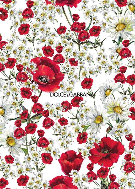 Dolce And Gabbana Wallpapers Top Free Dolce And Gabbana Backgrounds
