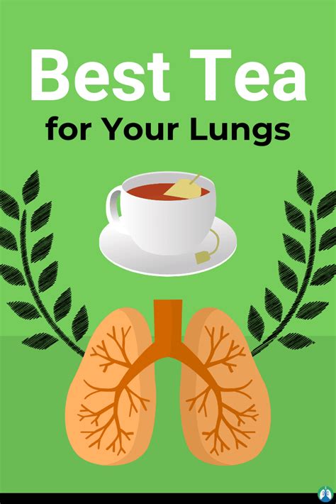 If you currently smoke, you should cleanse your lungs with one or more of these practices. 9 Best Lung Cleanse Tea Products for Breathing and Detox ...