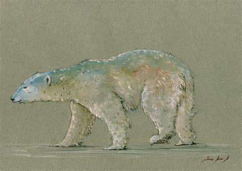 Polar Bear Original Watercolor Painting Art Painting By Juan Bosco