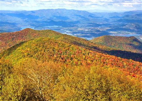 North Ga Mountains Stock Image Image Of Leaves Yellow 6732615