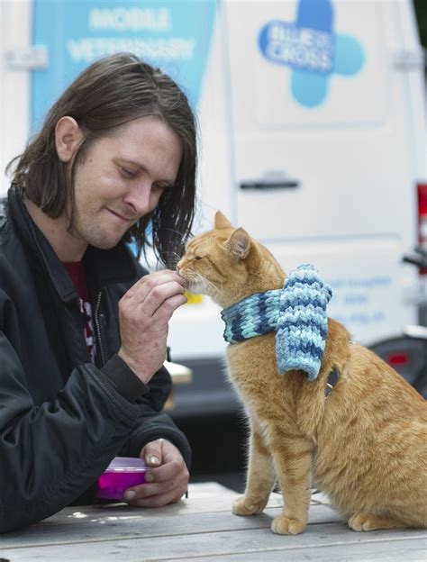 Besides, the last thing i needed right now was the extra responsibility of a cat. A street cat named Bob | Blue Cross