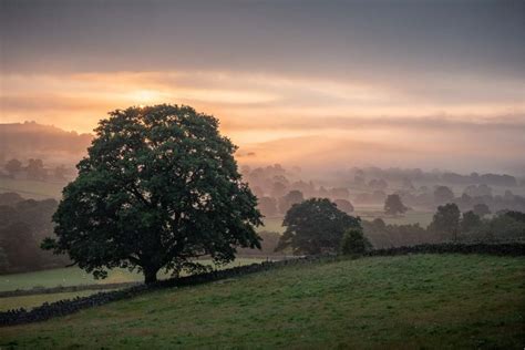 How To Use Mist To Improve Your Landscape Photos Nature Ttl