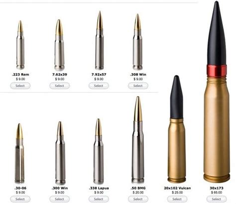 .223 Remington/5.56mm NATO to 30x173mm. | Ammo | Pinterest | Guns