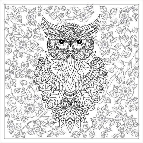 717 Best Coloring Owls Images On Pinterest Adult
