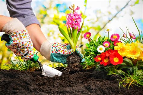 5 hermosas ideas para crear un mini jardín en tu casa Mejor con Salud