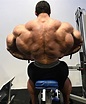 Big Bodybuilders: The Ultimate Guide to Massive Muscle